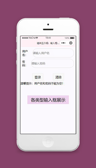 测试小程序账号登录页面源码下载