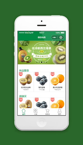 绿色电子商务商城微信小程序源码下载